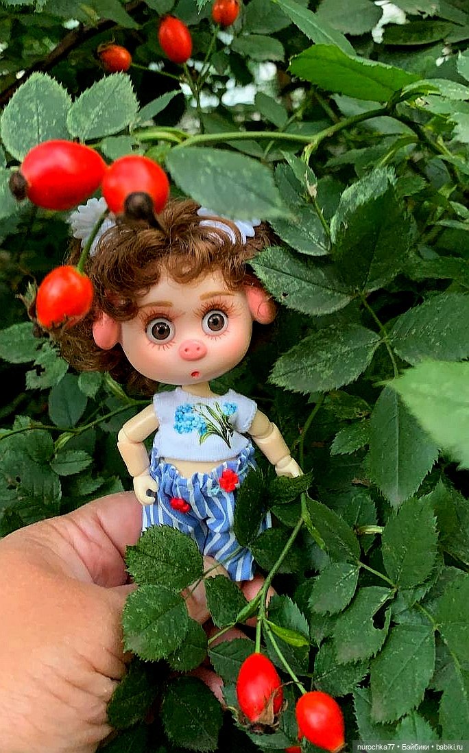 Про Нафочку. Сразу после отпуска. Ещё было лето (фото 4)