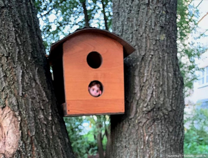 Про Нафочку. Сразу после отпуска. Ещё было лето (фото 3)