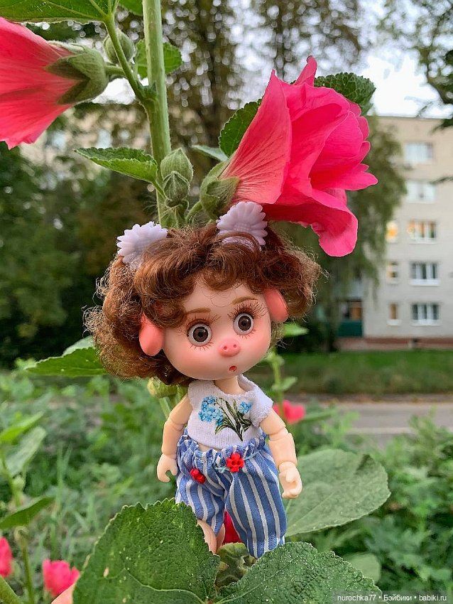 Про Нафочку. Сразу после отпуска. Ещё было лето (фото 6)