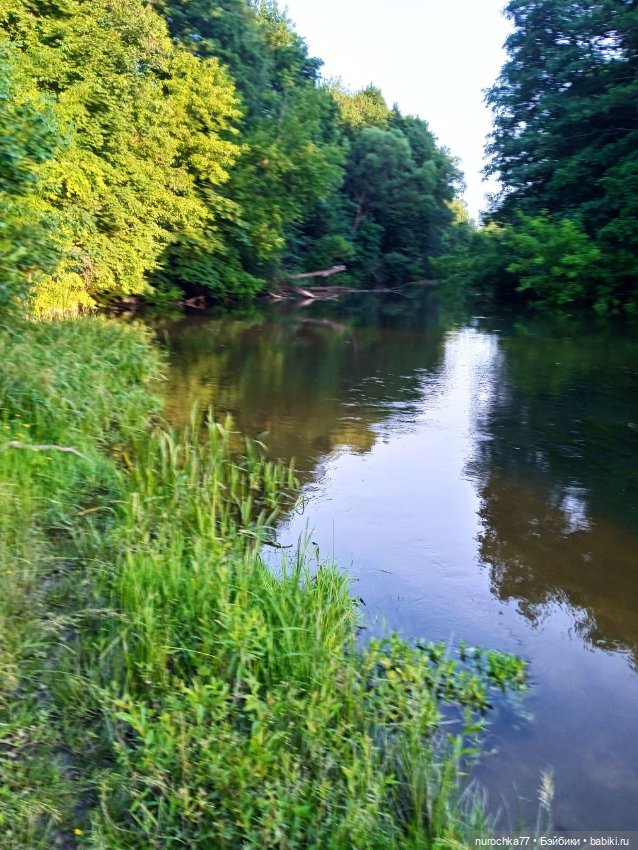 Про Нафочку. Сразу после отпуска. Ещё было лето