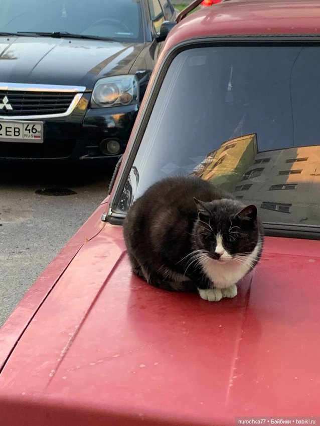 Про Нафочку. Сразу после отпуска. Ещё было лето