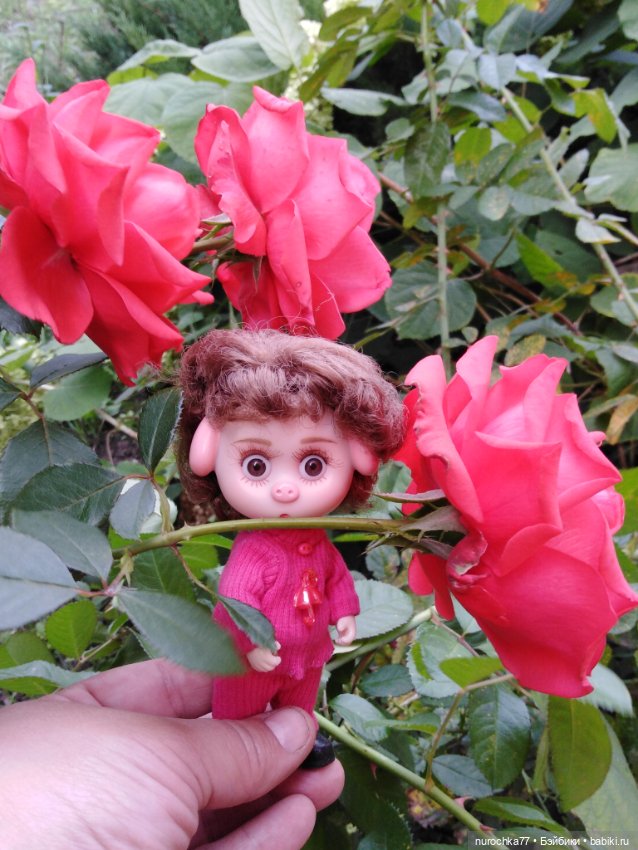 Про Нафочку. Сразу после отпуска. Ещё было лето