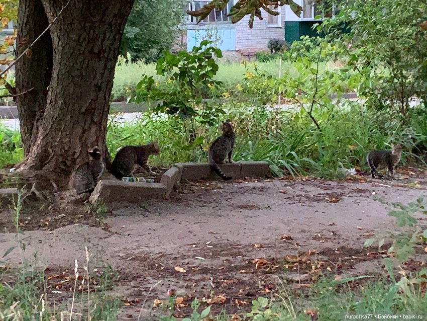 Про Нафочку. Сразу после отпуска. Ещё было лето