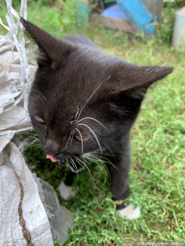 Про Нафочку. Сразу после отпуска. Ещё было лето