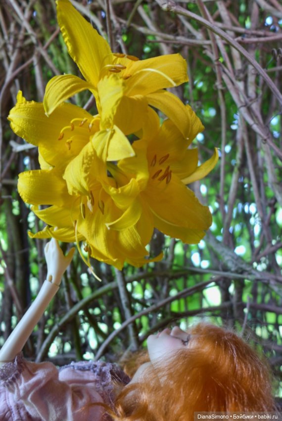 Цветы для лунной девы — Куклы TriffonyArtWork (Татьяна Трифонова): российские BJD (БЖД)