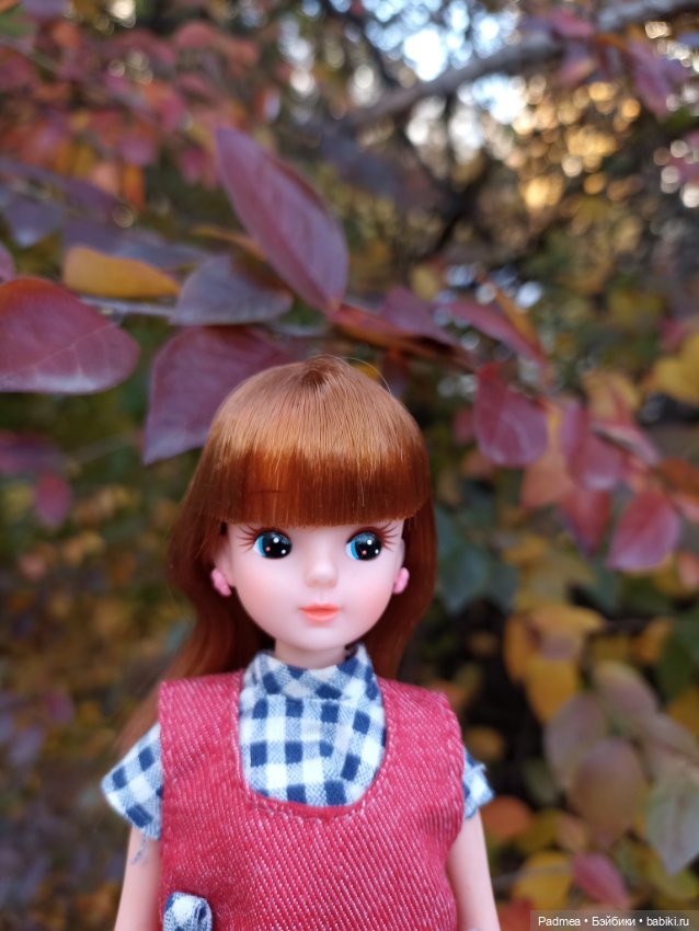 Новая история — Винтажные куклы ГДР (Немки): Бигги