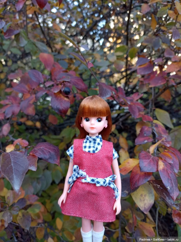 Новая история — Винтажные куклы ГДР (Немки): Бигги