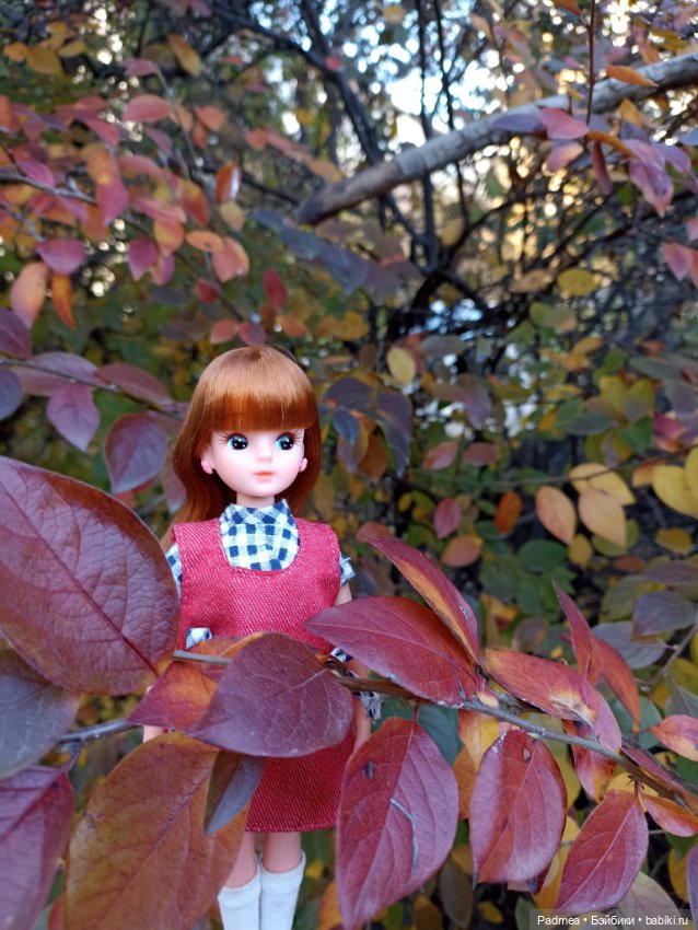 Новая история — Винтажные куклы ГДР (Немки): Бигги