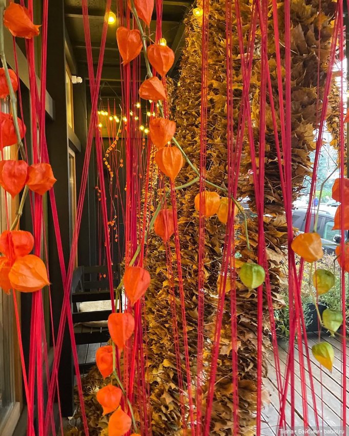 Осеннее с Ododo — Куклы Strawberry Planet: Redberry (фото 10)