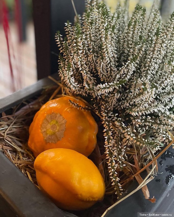 Осеннее с Ododo — Куклы Strawberry Planet: Redberry (фото 5)