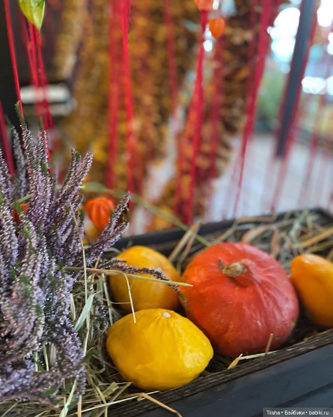 Осеннее с Ododo — Куклы Strawberry Planet: Redberry