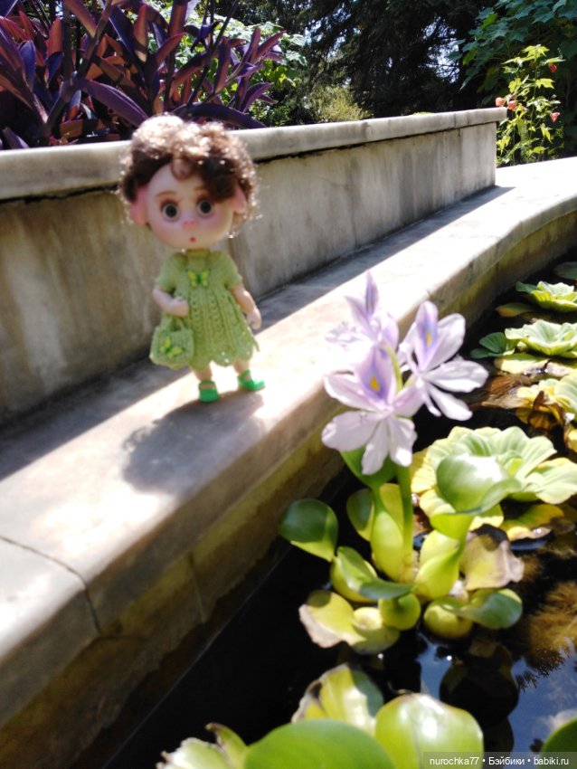 Про Нафочку. В дендрарии Сочи. . Часть. 1