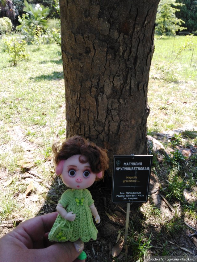 Про Нафочку. В дендрарии Сочи. . Часть. 1 (фото 4)