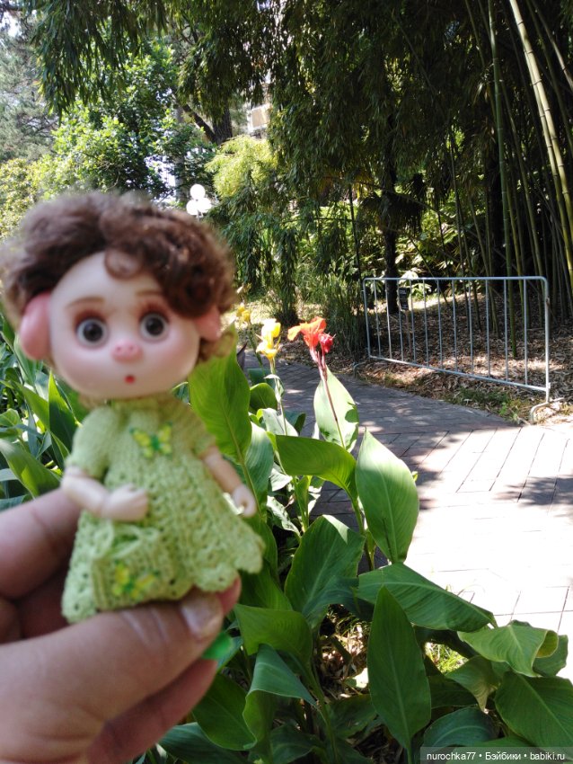 Про Нафочку. В дендрарии Сочи. . Часть. 1