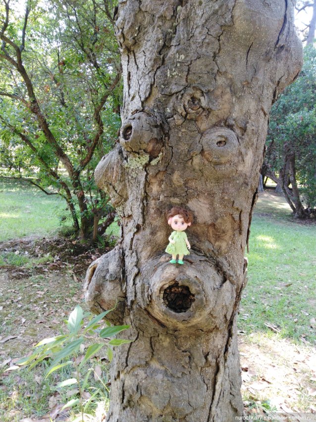 Про Нафочку. В дендрарии Сочи. . Часть. 1 (фото 6)