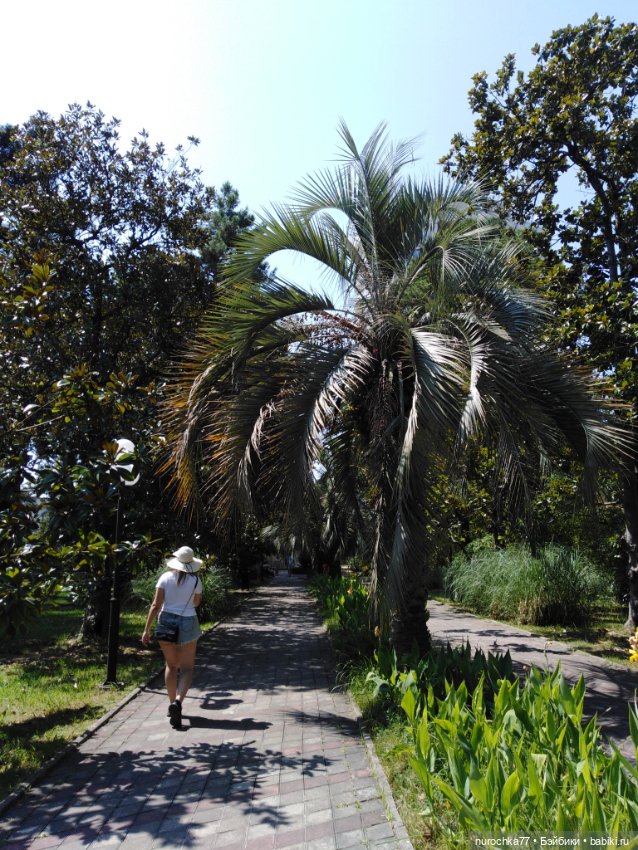 Про Нафочку. В дендрарии Сочи. . Часть. 1 (фото 5)