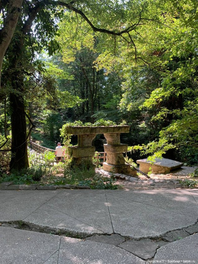 Про Нафочку. В дендрарии Сочи. . Часть. 1