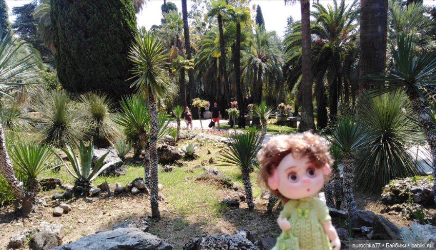 Про Нафочку. В дендрарии Сочи. . Часть. 1 (фото 3)
