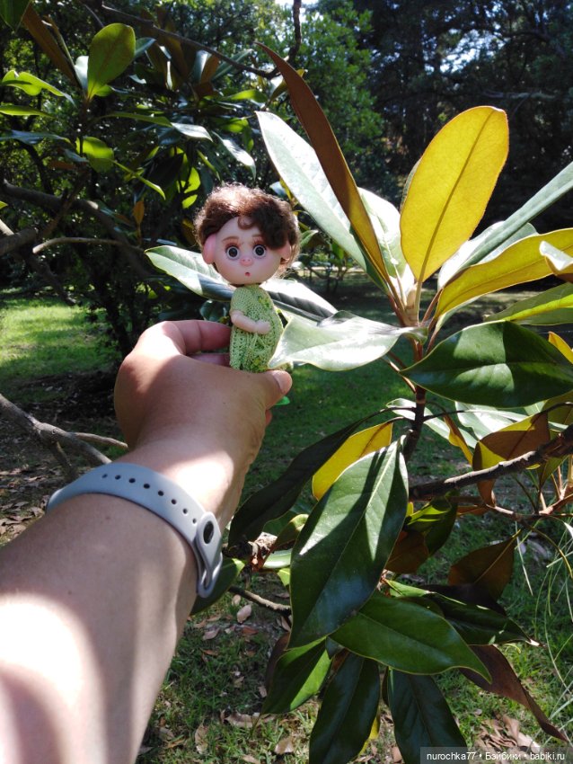 Про Нафочку. В дендрарии Сочи. . Часть. 1 (фото 7)