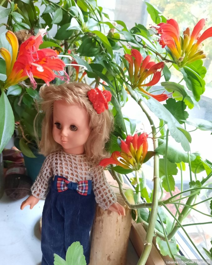 Мартина по имени Марина — Винтажные куклы ГДР (Немки): Бигги (фото 8)