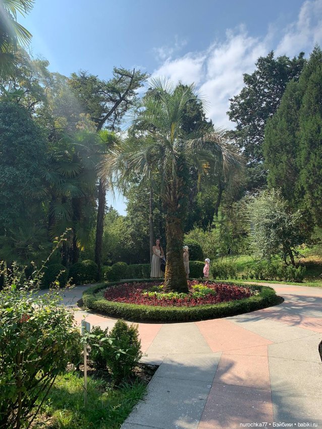 Про Нафочку. В дендрарии Сочи. . Часть. 1