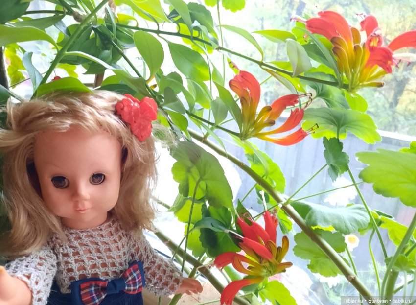 Мартина по имени Марина — Винтажные куклы ГДР (Немки): Бигги