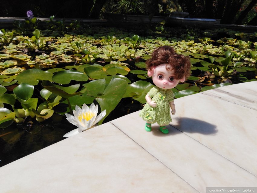 Про Нафочку. В дендрарии Сочи. . Часть. 1