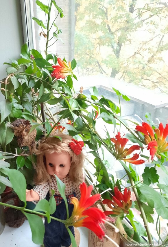 Мартина по имени Марина — Винтажные куклы ГДР (Немки): Бигги (фото 10)