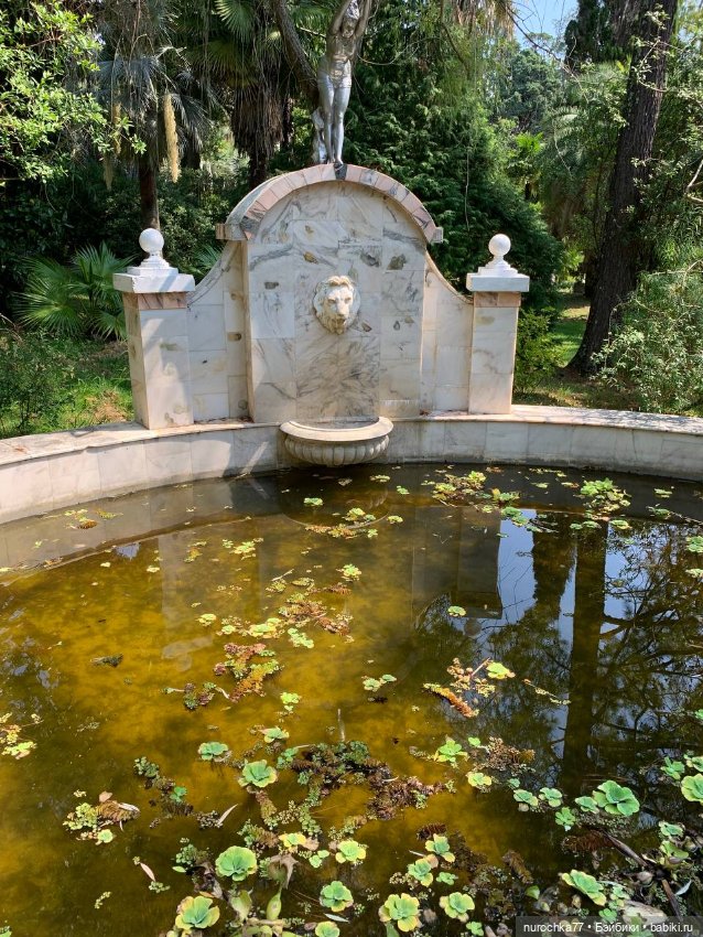 Про Нафочку. В дендрарии Сочи. . Часть. 1