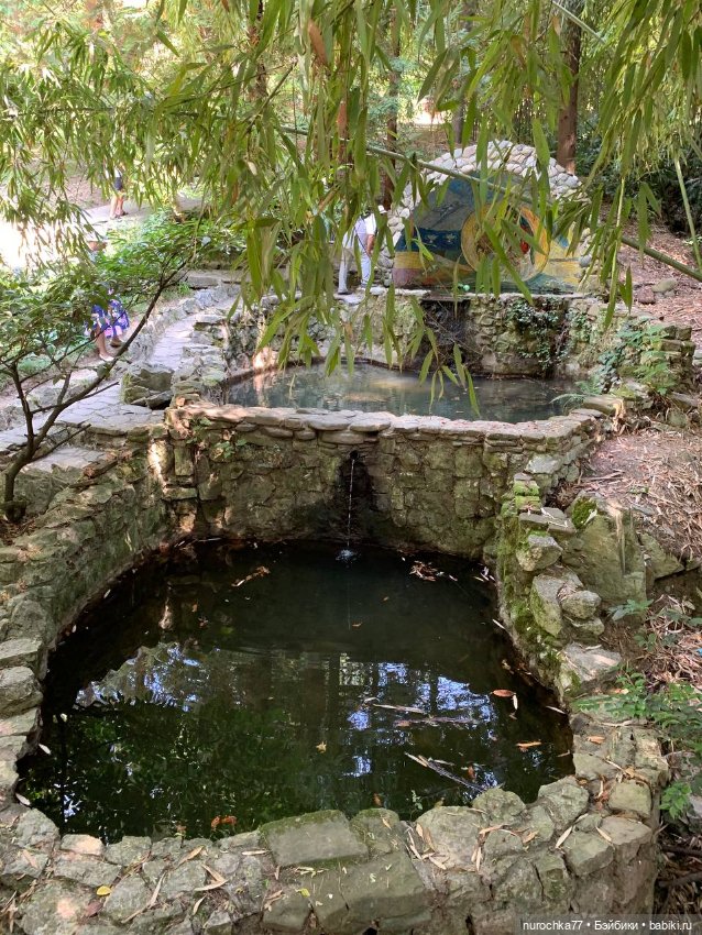 Про Нафочку. В дендрарии Сочи. . Часть. 1