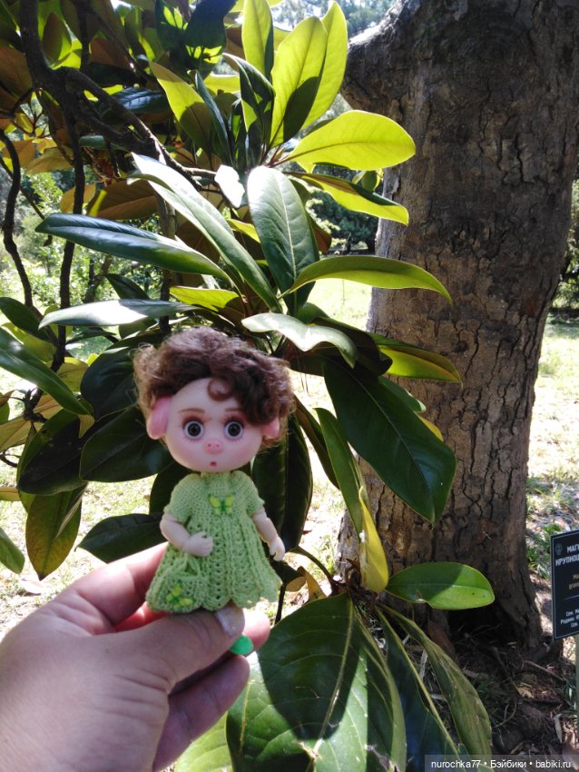 Про Нафочку. В дендрарии Сочи. . Часть. 1