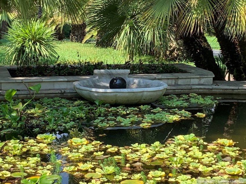 Про Нафочку. В дендрарии Сочи. . Часть. 1