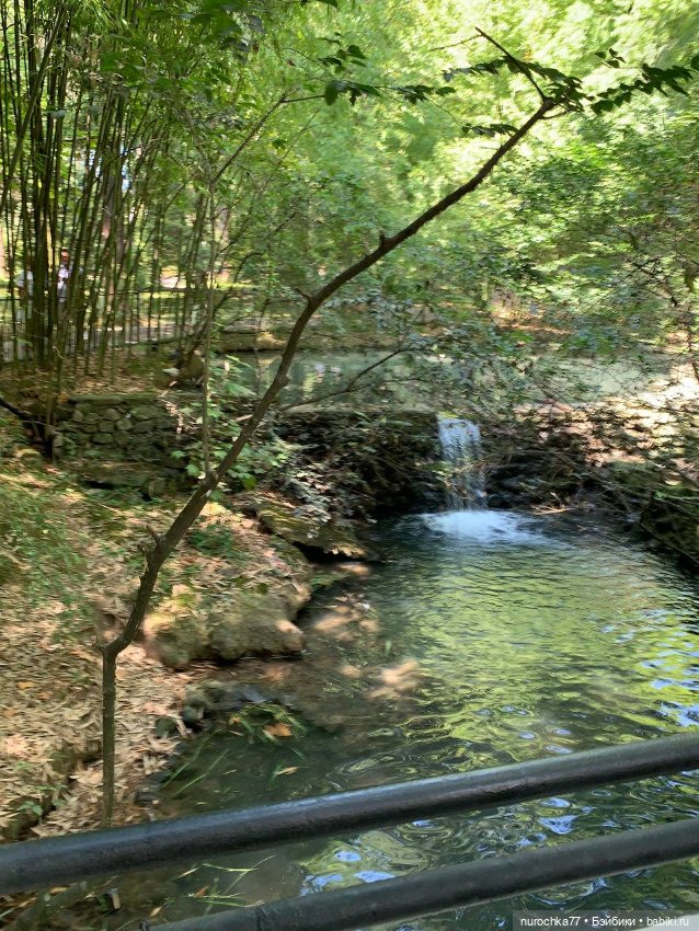 Про Нафочку. В дендрарии Сочи. . Часть. 1