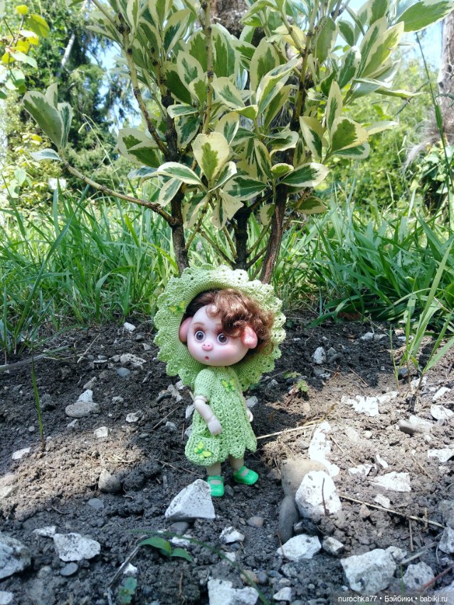 Про Нафочку. В дендрарии Сочи. . Часть. 1 (фото 9)