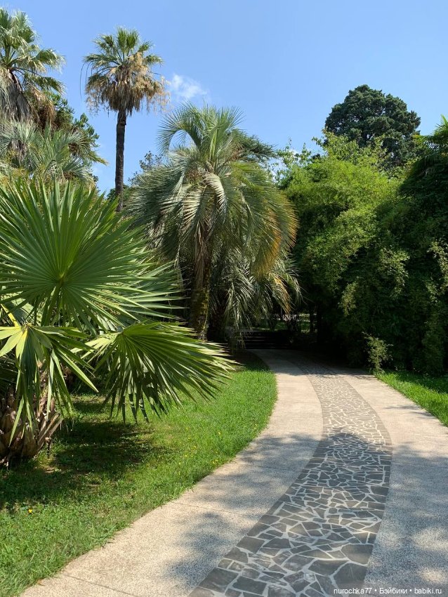 Про Нафочку. В дендрарии Сочи. . Часть. 1