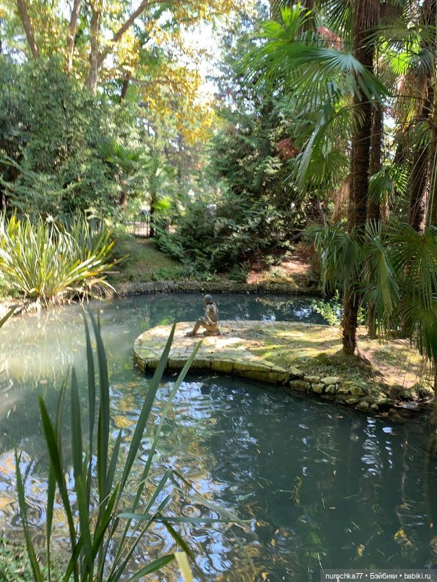 Про Нафочку. В дендрарии Сочи. . Часть. 1