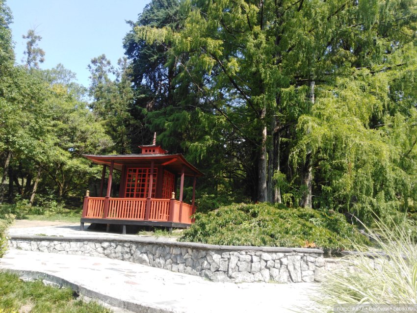 Про Нафочку. В дендрарии Сочи. Часть 2