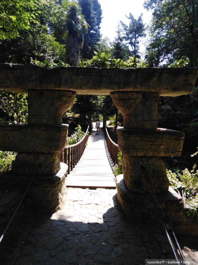 Про Нафочку. В дендрарии Сочи. Часть 2