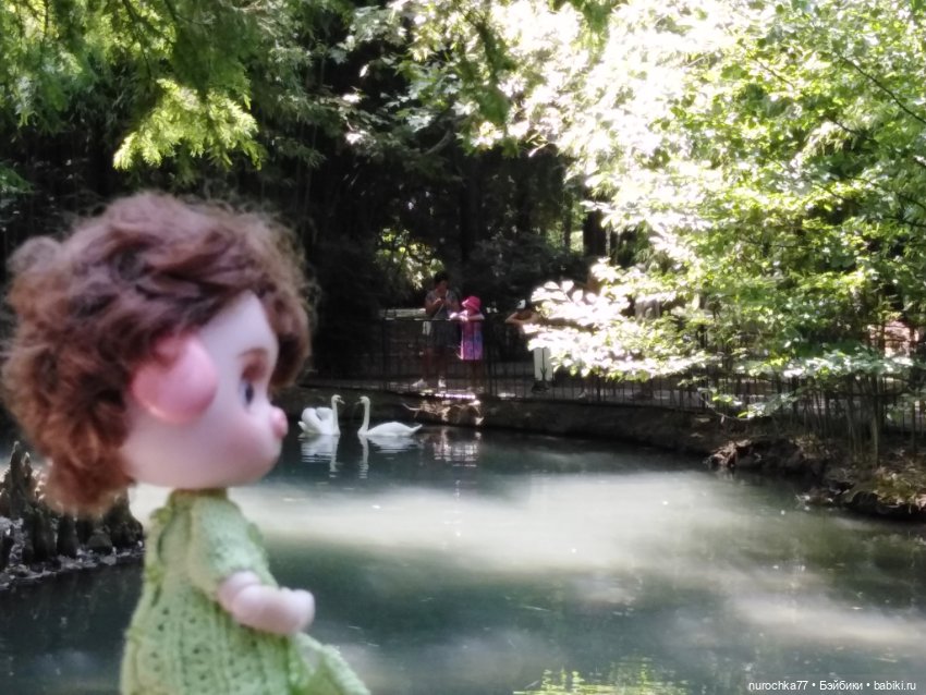 Про Нафочку. В дендрарии Сочи. Часть 2 (фото 10)