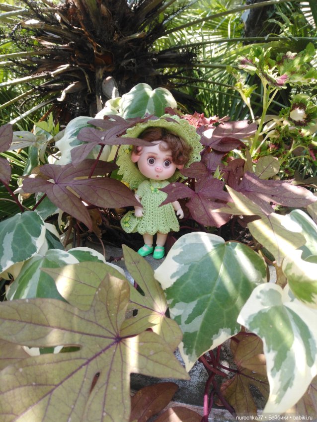 Про Нафочку. В дендрарии Сочи. Часть 2