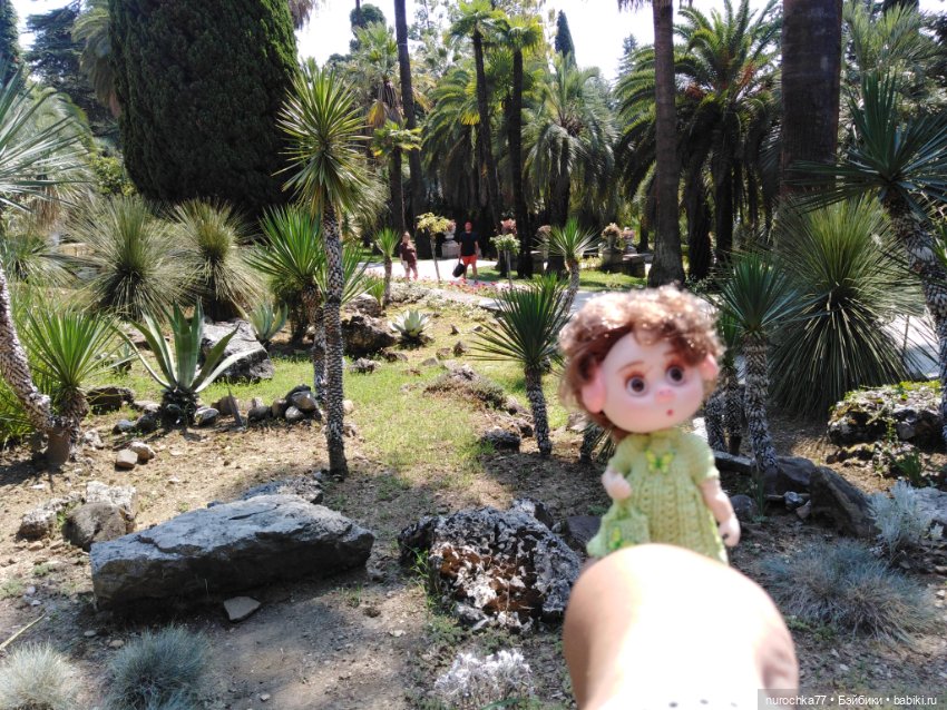 Про Нафочку. В дендрарии Сочи. Часть 2