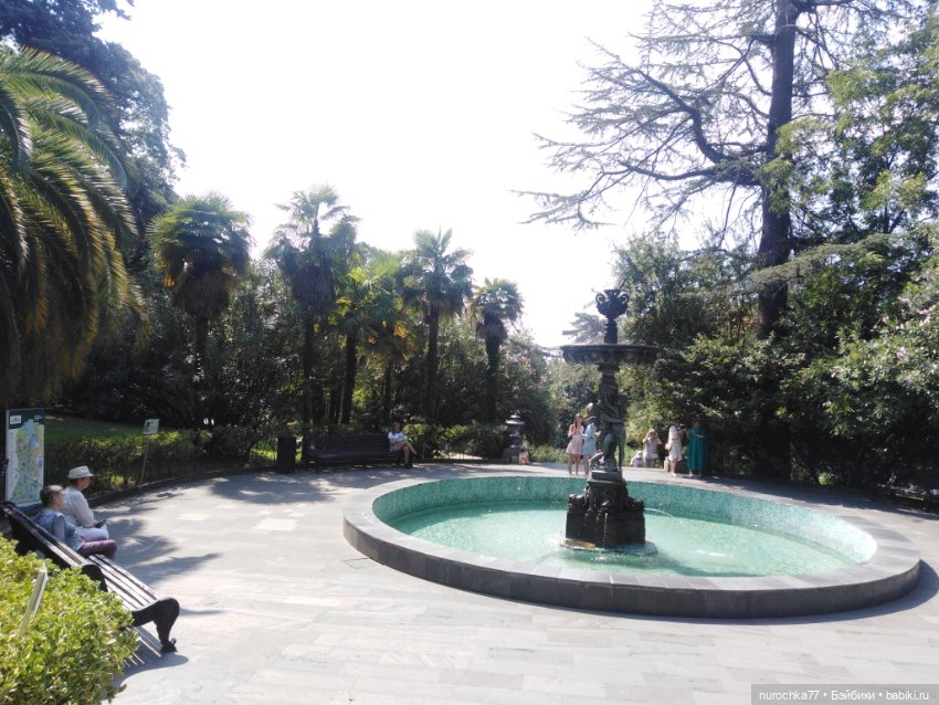 Про Нафочку. В дендрарии Сочи. Часть 2