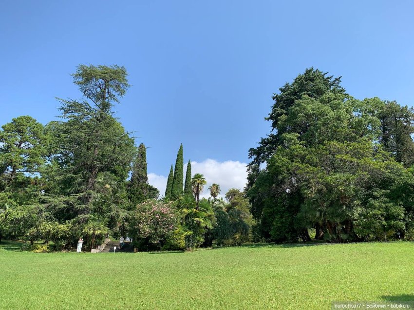 Про Нафочку. В дендрарии Сочи. Часть 2