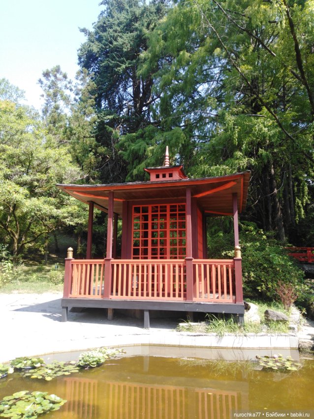 Про Нафочку. В дендрарии Сочи. Часть 2 (фото 5)