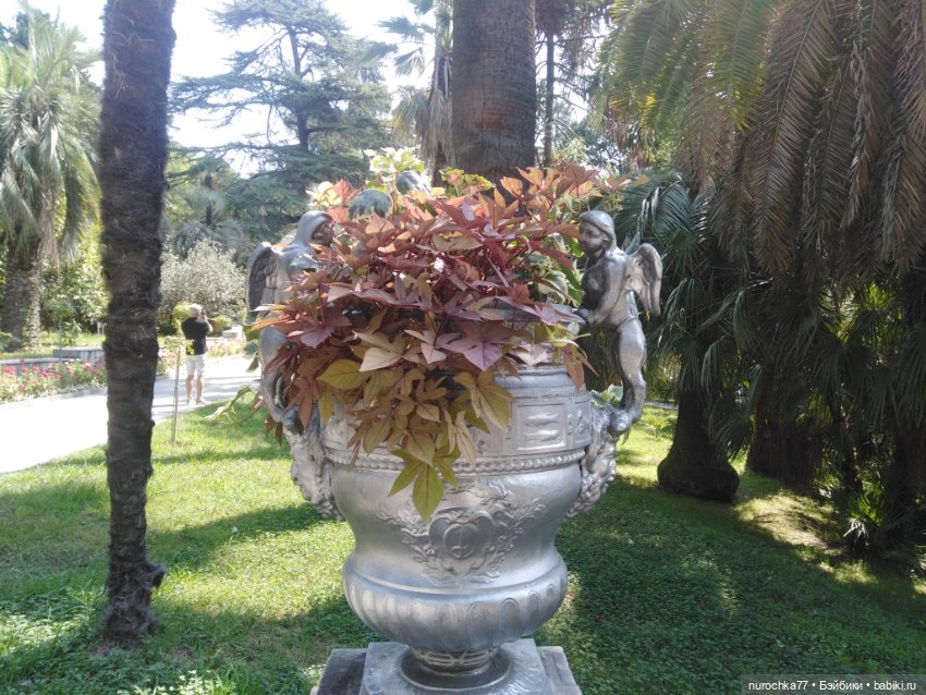 Про Нафочку. В дендрарии Сочи. Часть 2