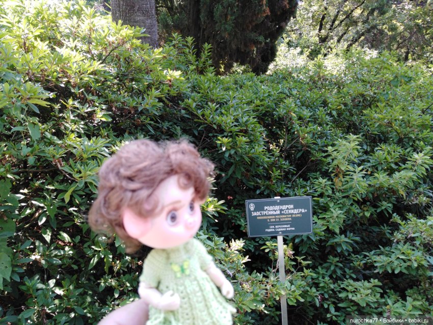 Про Нафочку. В дендрарии Сочи. Часть 2