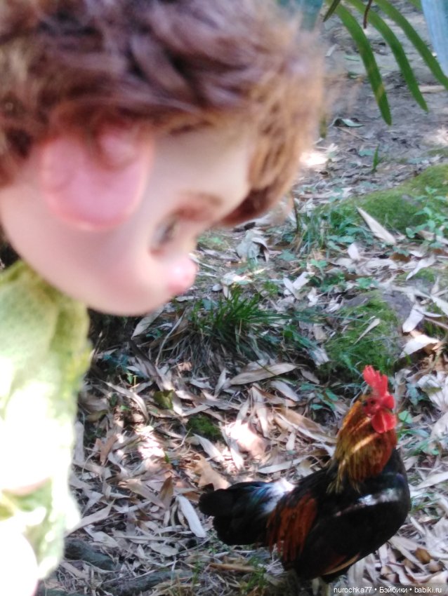 Про Нафочку. В дендрарии Сочи. Часть 2