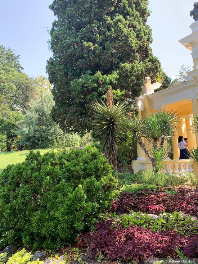 Про Нафочку. В дендрарии Сочи. Часть 2