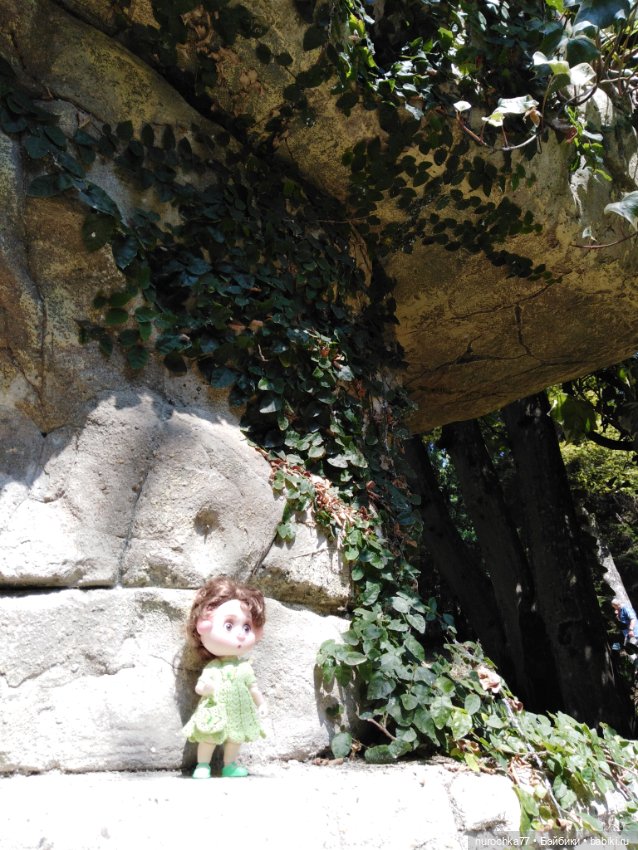 Про Нафочку. В дендрарии Сочи. Часть 2