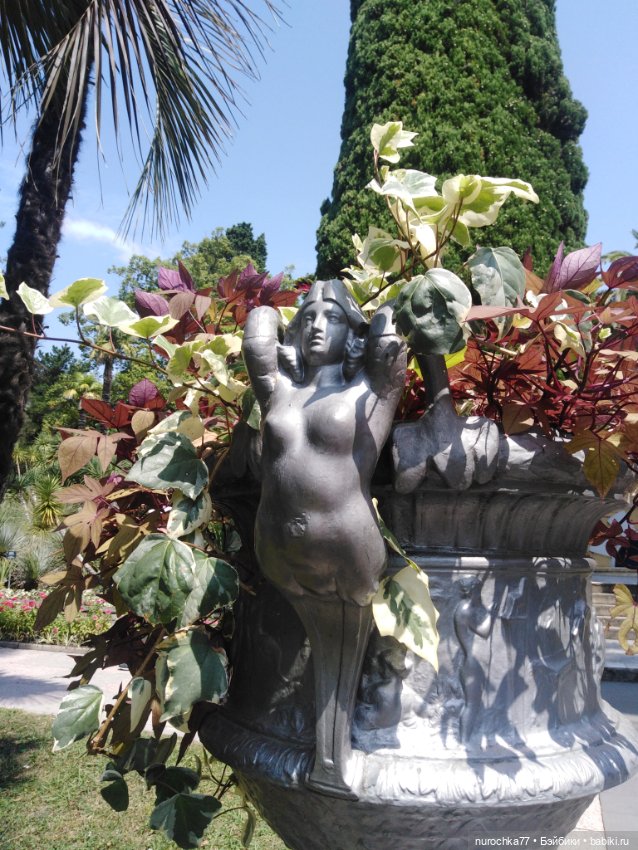 Про Нафочку. В дендрарии Сочи. Часть 2